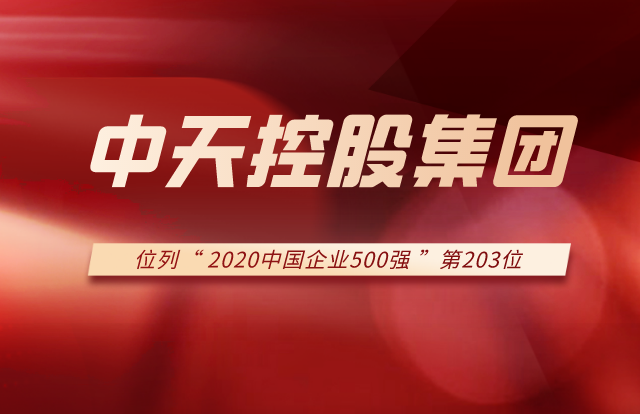 Ebpay集团列2020中国企业500强第203位！